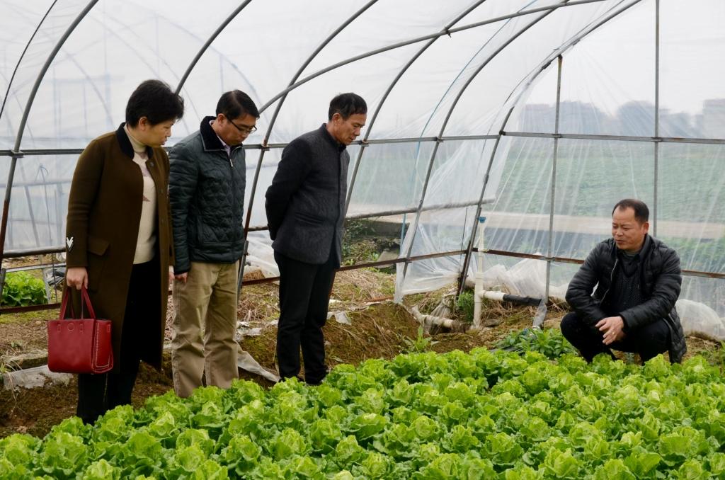仁和集團駐張家山街道杏塘村委工作隊與村干部商討產業扶貧.jpg